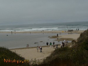 La playica y el laguico