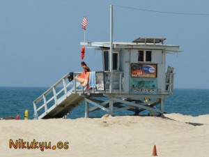 Los vigilantes de la playa